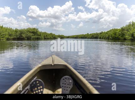 Kayak nel parco nazionale delle Everglades, Stati Uniti Foto Stock