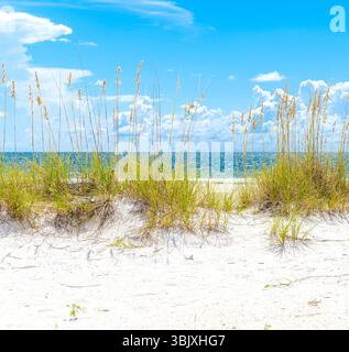 Spiaggia soleggiata con dune di sabbia e cielo blu Foto Stock
