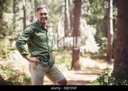 Sentiero sterrato che si snoda attraverso una fitta pineta, con la luce del sole che filtra tra tra alberi alti Foto Stock