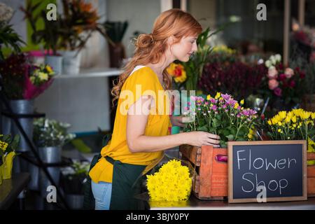 Fiorista che organizza coloratissimi crisantemi e margherite sul bancone in legno all'interno del negozio di fiori Foto Stock