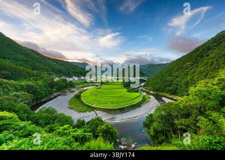 Terrazza di riso Aragijima a Wakayama, Giappone. Foto Stock