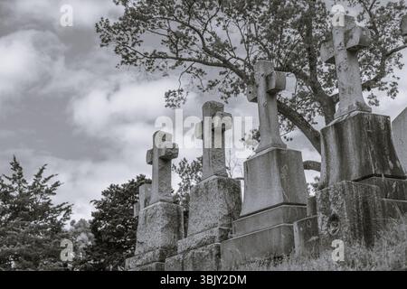 Foto del vecchio cimitero, lapidi in pietra con croci, lapidi intemperie, grandi alberi, cielo spettacolare, tranquillo sito di sepoltura storico Foto Stock