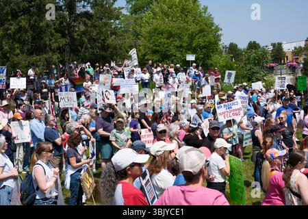 Folla di manifestanti al raduno No Kings il 14 giugno 2025, a Fenton Michigan USA Foto Stock
