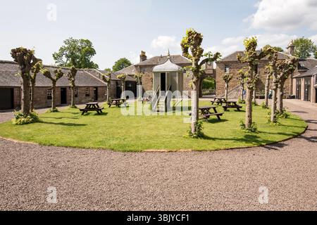Quando la "larder" era funzionale, questi alberi di tiglio avrebbero avuto molte foglie che fornivano un'ombra rinfrescante (Casa di Dun, Montrose) Foto Stock