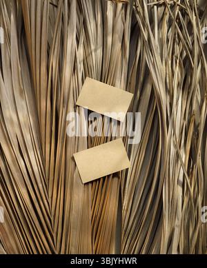 Cartoline fotografiche vergini marrone beige foglie di palma asciutte piante tropicali naturali design mockup Foto Stock