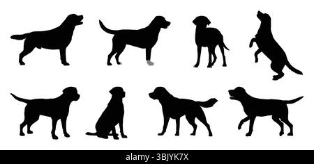Set vettoriale sagome a cane Labrador Retriever. Illustrazione Vettoriale