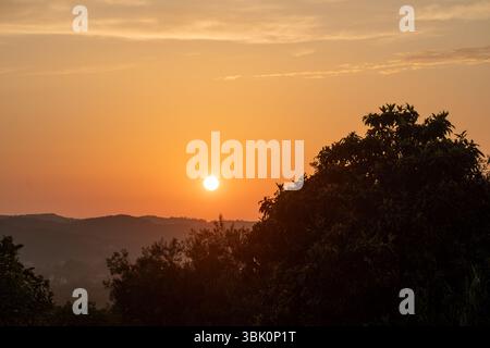Tramonto dorato che proietta un caldo bagliore su colline lontane, incorniciate dalla silhouette di un albero lussureggiante. Foto Stock