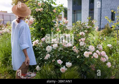 Giardiniere che ammira le rose nel giardino estivo dopo aver trascorso le fioriture mortali. La donna tiene un cestino con potatrice e fiori secchi Foto Stock