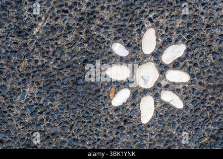 Foto in bianco e nero di un percorso in pietra con un fiore bianco al centro. Il sentiero in pietra è fatto di piccole rocce e il fiore è fatto di rocce più grandi. Foto Stock