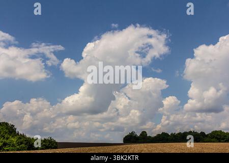 Nuvole bianche a forma di animali fluttuano in un cielo azzurro luminoso sopra un campo agricolo creando una vista stravagante sullo sfondo di alberi verdi. Foto Stock