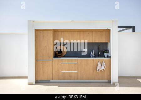 Spaziosa cucina sul tetto con eleganti armadi in legno, ripiani grigi, lavandino e accessori decorativi. Foto Stock