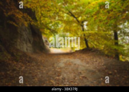 Design piatto che mostra sentieri sterrati che si snodano attraverso la foresta autunnale con foglie cadute e affioramenti rocciosi Foto Stock