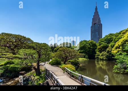 Giardino nazionale Shinjuku Gyoen in primavera con cielo blu e alti edifici sullo sfondo, Tokyo Foto Stock