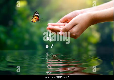 Ambiente acqua mani. Mani che reggono gocce d'acqua con farfalla in simbolo naturale di pace e armonia mani gentili che catturano goccioline d'acqua con ma Foto Stock