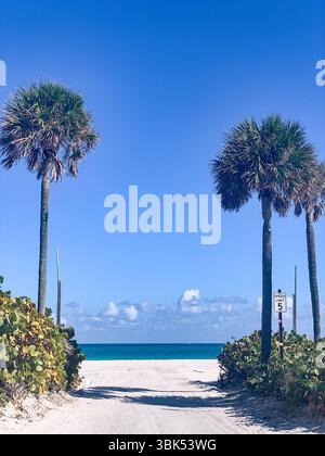 Spiaggia tropicale caratterizzata da un sentiero sabbioso che conduce all'oceano turchese, Miami Beach, Florida Foto Stock