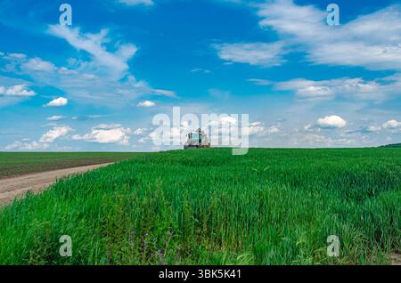 Vista a distanza del trattore su strada rurale in primavera nel campo. Cielo blu con nuvole bianche. Campo di grano verde. Lavori primaverili Foto Stock