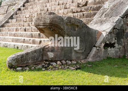 Scultura a testa di serpente scolpita nella piramide di El Castillo Kukulcan alla base delle scale del tempio in Messico, penisola dello Yucatan, Chichen Itza. Foto Stock