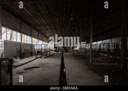 Industriali abbandonati interno con vasche di allevamento di angolazione Foto Stock