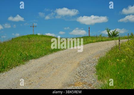 Sentiero tra verdi colline nella primavera dei Carpazi Foto Stock