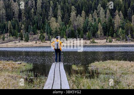 Una donna escursionista si trova sul molo di legno vicino al tranquillo laghetto di montagna circondato dalla foresta delle Alpi svizzere Foto Stock