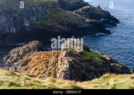 Una scogliera rocciosa si affaccia sull'oceano. Le rocce sono frastagliate e irregolari, e l'acqua è calma. Un uccello è appollaiato sul bordo della scogliera, guardando fuori la stufa Foto Stock