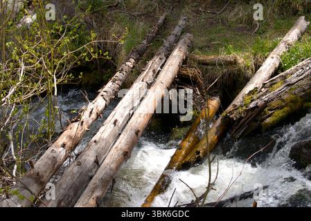 Passerella pedonale improvvisata nell'entroterra del Colorado Foto Stock