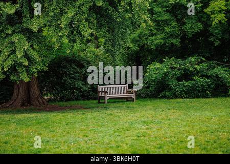 Panchina di legno solitaria vuota sotto un grande albero in un tranquillo parco verde che simboleggia la solitudine, la depressione e la riflessione emotiva Foto Stock