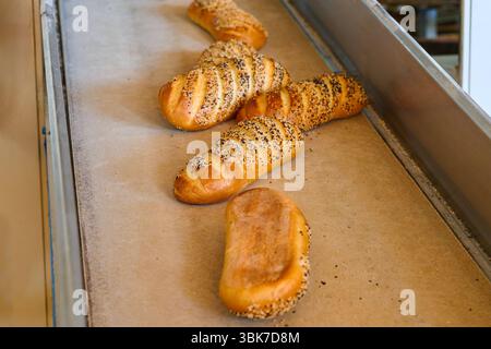 I pani bianchi a bastone appena sfornati si raffreddano sul nastro trasportatore in una fabbrica di pane durante le ore di produzione Foto Stock