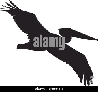 Sagoma di cicogna e pellicano Vector, Black Bird Clipart, Standing and Flying Animal Art, Nature Wildlife Illustration, Simple Outline, Design elegante Illustrazione Vettoriale
