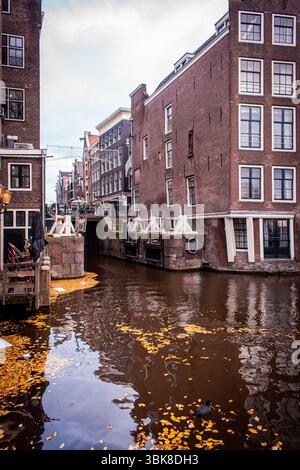 Un pittoresco canale di Amsterdam, fiancheggiato da tradizionali edifici olandesi caratterizzati da alte, strette facciate e grandi finestre. Foto Stock