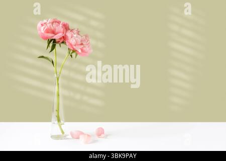 Due grandi peonie rosa in vaso di vetro con ampio spazio per le copie Foto Stock