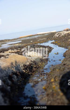 L'acqua scorre tra le pietre sul primo piano della costa Foto Stock