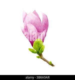 Fiore di magnolia rosa su un ramo marrone con piccole foglie verdi. Delicato acquerello in stile botanico. Fiore realistico disegnato a mano Foto Stock
