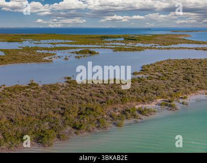 Il Parco Nazionale delle Everglades protegge la più grande natura selvaggia subtropicale degli Stati Uniti, che comprende oltre 1,5 milioni di acri Foto Stock