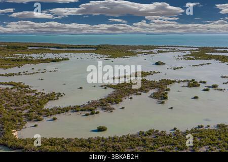 Il Parco Nazionale delle Everglades protegge la più grande natura selvaggia subtropicale degli Stati Uniti, che comprende oltre 1,5 milioni di acri Foto Stock