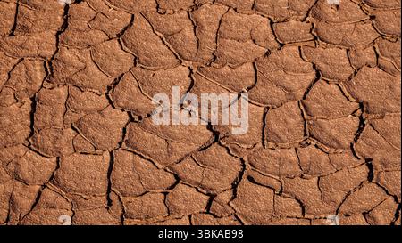 Questa immagine mostra un modello di fango cotto al sole, essiccato e incrinato, formato quando il terreno saturo d'acqua o i sedimenti si asciugano rapidamente sotto la luce solare intensa. Foto Stock