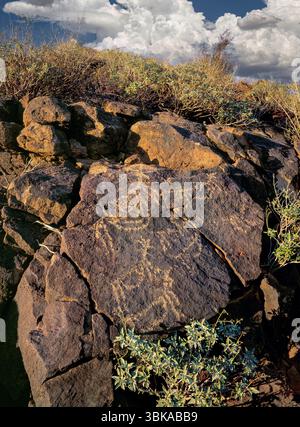 Questi petroglifi, situati nel Tucson Mountain District del Saguaro National Park West, Arizona Foto Stock