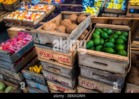 Avocado e noci di cocco coltivati localmente sono offerti in casse di legno presso uno stand di un contadino durante un mercato di strada a Montevideo, Uruguay. Foto Stock