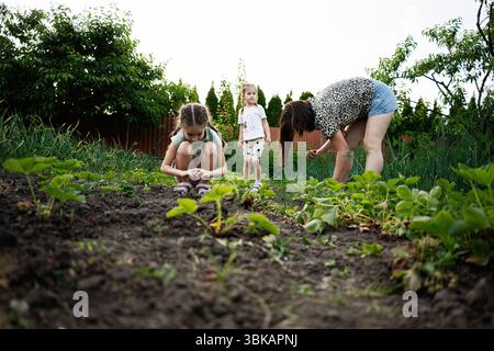 Una famiglia collabora alla coltivazione di verdure in un lussureggiante giardino estivo circondato dalla natura. Foto Stock