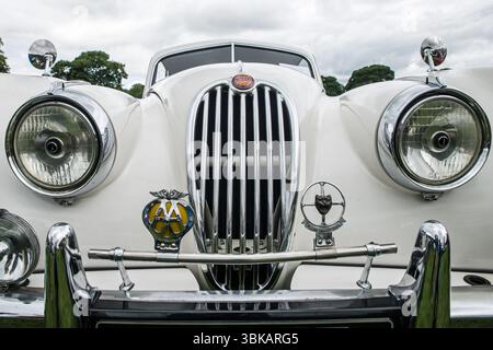 Vista frontale di un'auto sportiva Jaguar XK140 del 1955 di colore bianco Foto Stock