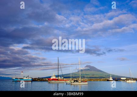 Barche a vela nella marina della città di Horta con il monte Pico sullo sfondo, l'isola di Faial, l'arcipelago delle Azzorre, il Portogallo Foto Stock