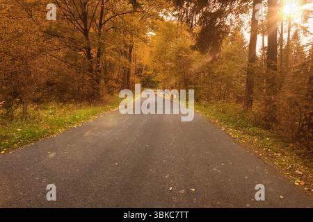 L'illustrazione con design piatto mostra la strada asfaltata attraverso la foresta autunnale con catarifrangenti Foto Stock