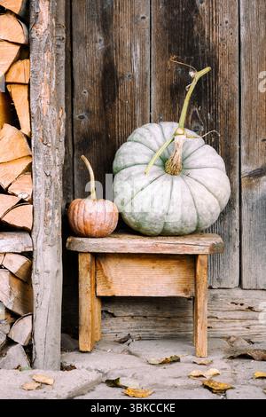Zucche autunnali vicino a una vecchia porta di fienile in legno su un cortile del villaggio. Un'accogliente scena country mostrata in ambientazione autunnale per Halloween o per le festività del Ringraziamento Foto Stock