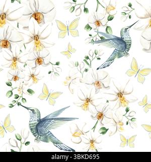 Colibrì volante con fiori di orchidea bianca e farfalle illustrazione acquerello. Disegno a mano senza cuciture con phalaenopsis tropicale e uccello Foto Stock