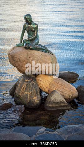 La Sirenetta è una statua in bronzo di Edvard Eriksen, raffigurante una sirena che diventa umana. Foto Stock