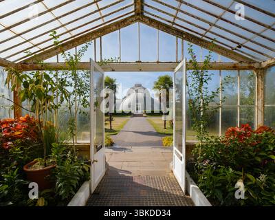Water Lily House Kew Gardens Foto Stock