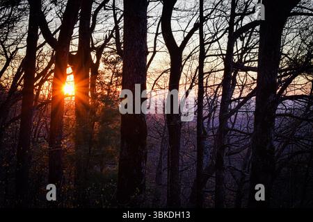 alba di prima mattina nel parco statale di amacalola Foto Stock