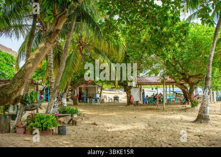 Una tranquilla spiaggia a Rincon del Mar, Colombia, caratterizzata da lussureggianti palme, una zona sabbiosa e luoghi accoglienti per il relax. Foto Stock