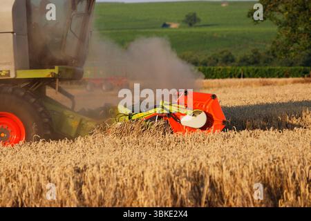 Impressionen: Maehdraescher, Gereideernte (nur fuer redaktionelle Verwendung. Keine Werbung. Referenzdatenbank: http://www.360-berlin.de. © Jens Knapp Foto Stock