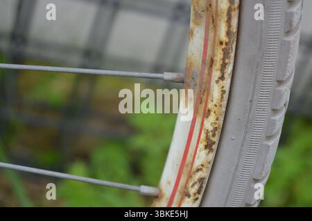 Cose, oggetti, sport, salute. Una vecchia bicicletta rossa in metallo si erge contro una recinzione bianca, su un prato verde. Foto Stock
